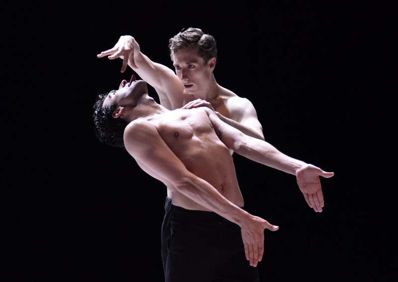 Марко Гекке "Нижинский"