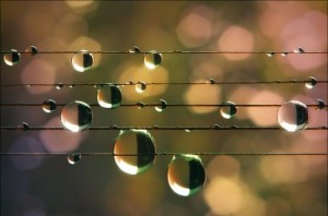 Фестиваль оперной музыки «Дыхание Байкала» 2017