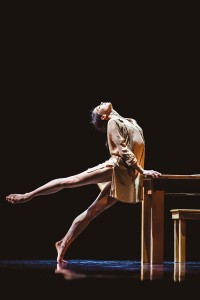 Мир Дианы Вишнёвой