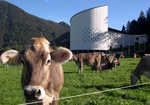 Тирольский фестиваль в Эрле2